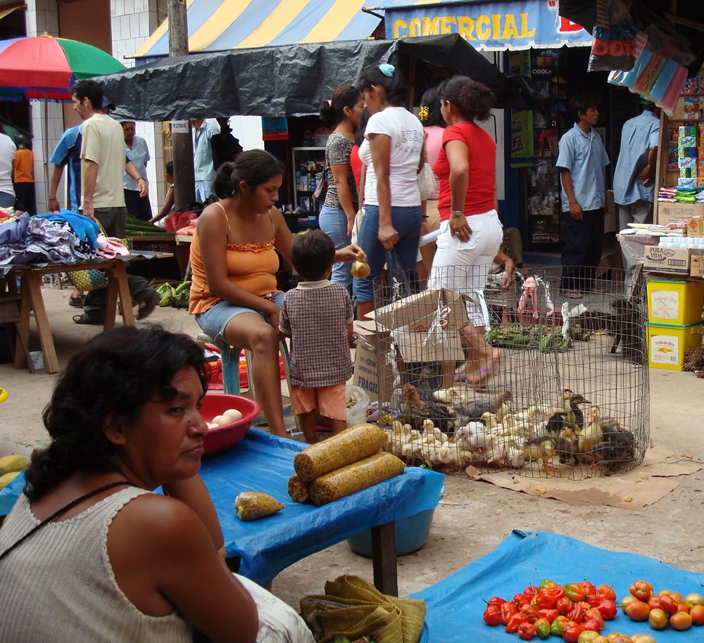 [Yurimaguas-market-1.jpg]