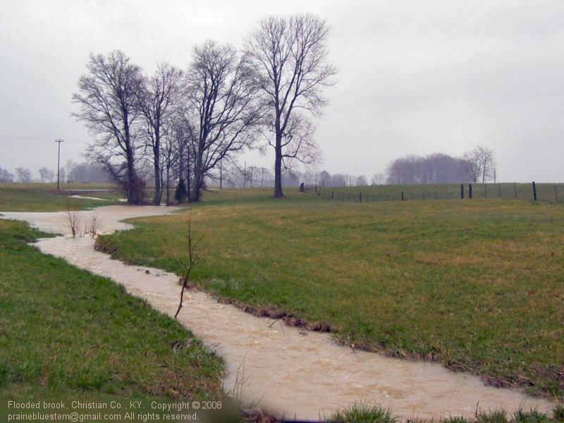 [flooded-brook.jpg]