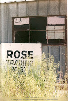 Rose Nebraska