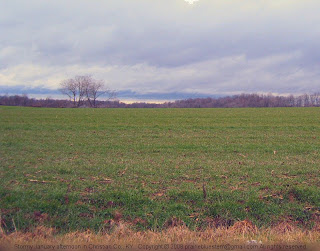 Rain clouds behind a wheatfield