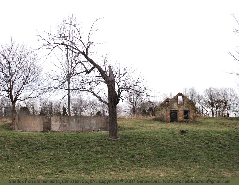 Abandoned farm buildings