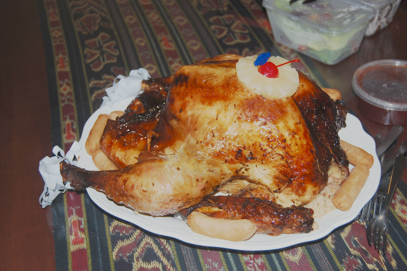 [turkey2006_01a.png]