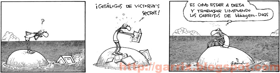[victoria's-secret-catalogs.jpg]