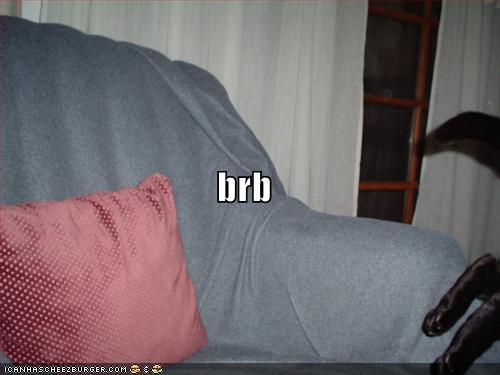 [funny-pictures-brb-cat.jpg]