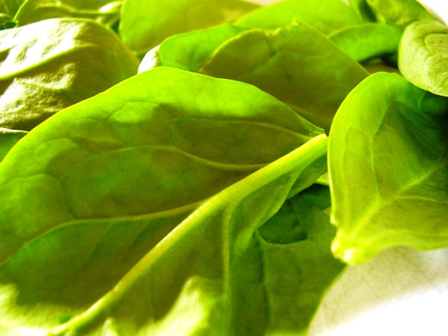 [spinach.JPG]