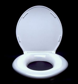 [toilet+seat.jpg]
