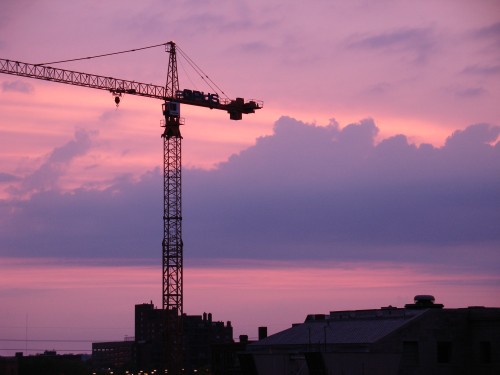 [crane_sunset.jpg]