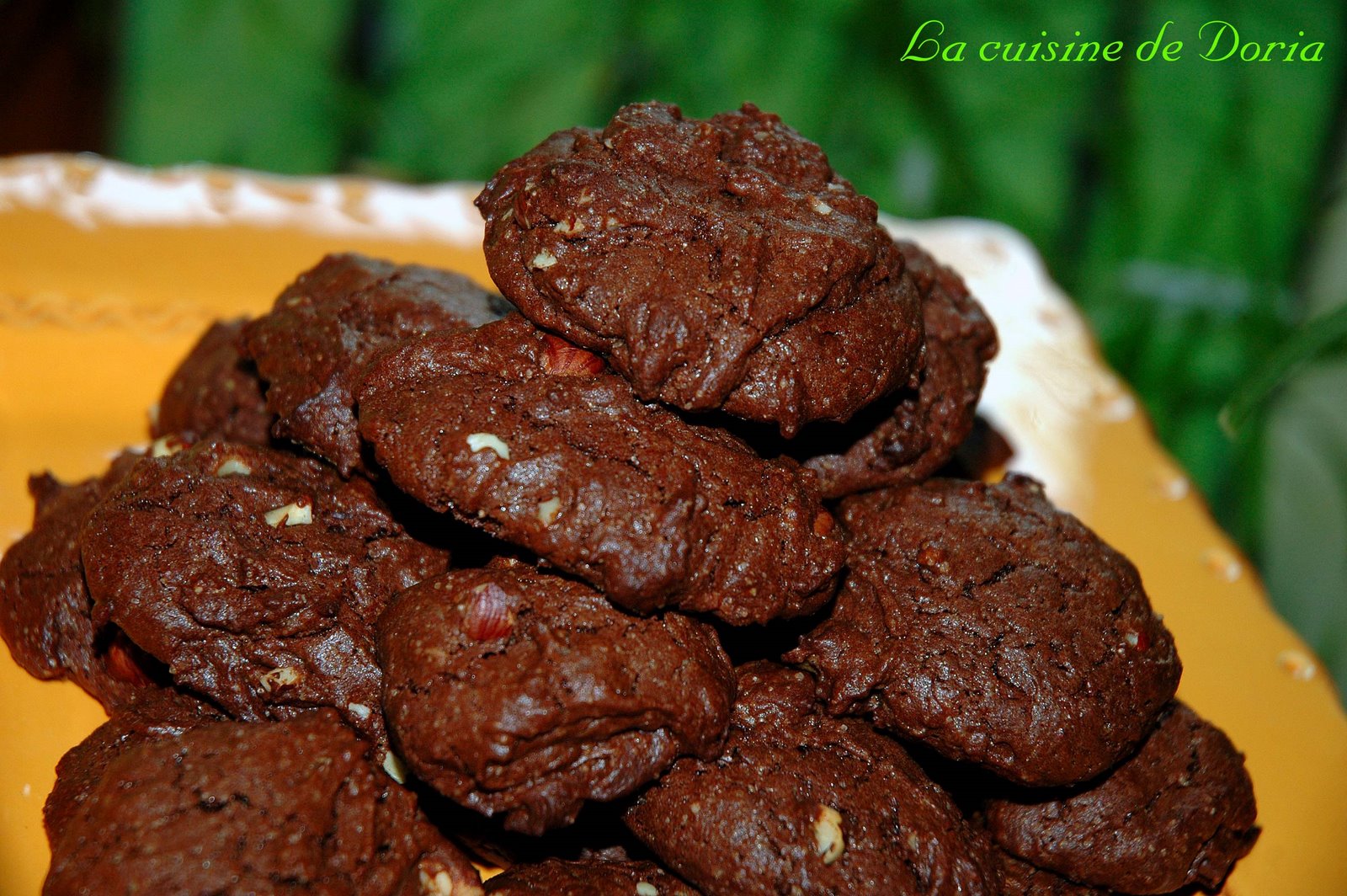 [Cookies+chocolat-noisettes+b.jpg]