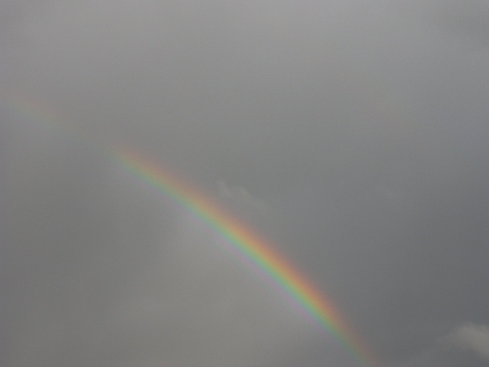 [Rainbow!.jpg]