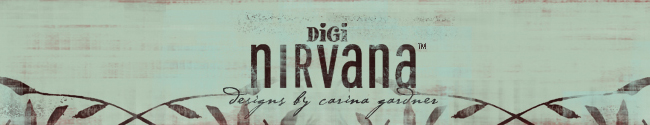 digi nirvana blog