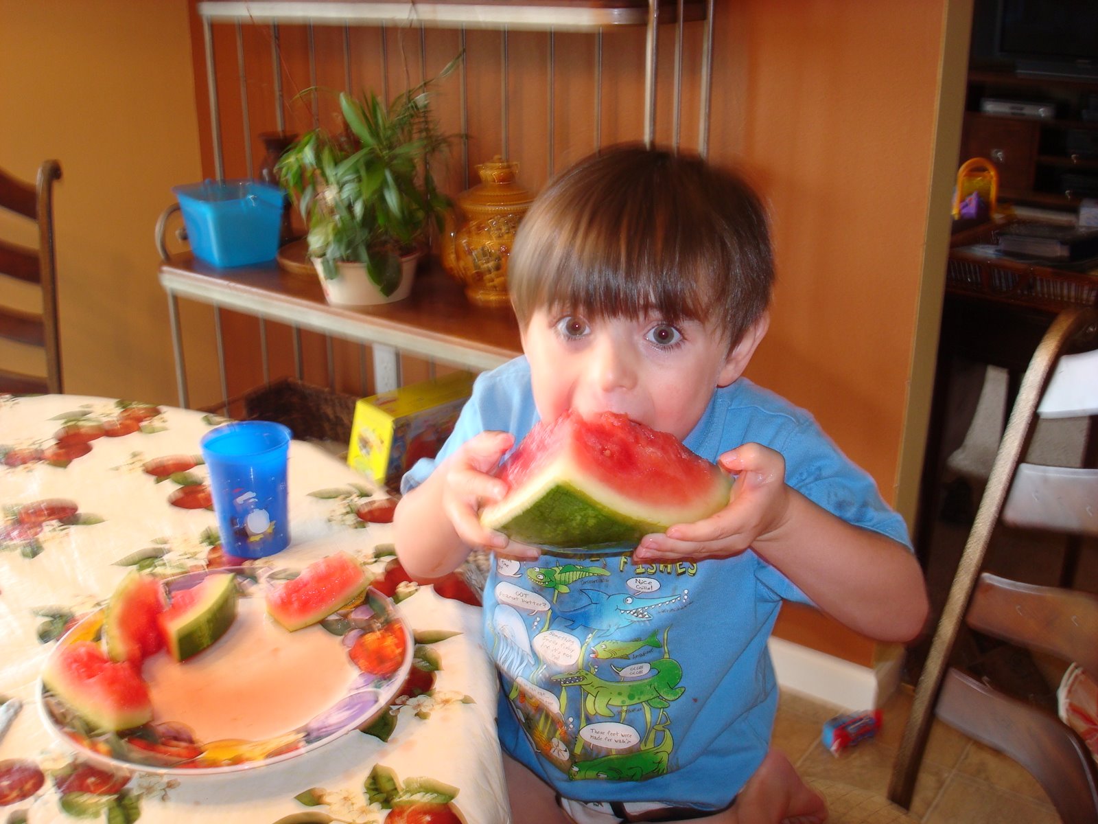 [watermelon+006.jpg]