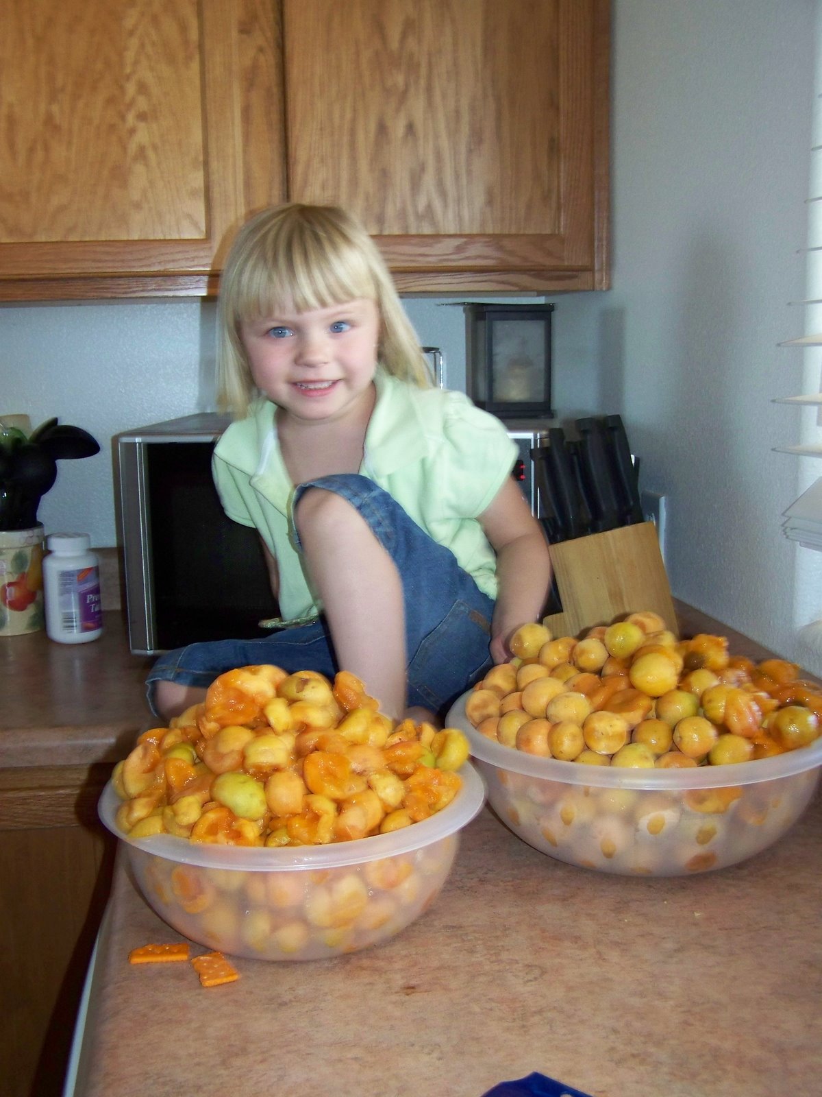 [canning+apricots+001.jpg]