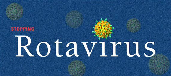[rotavirus.gif]