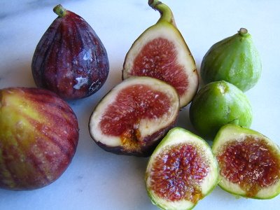 [figs.bmp]