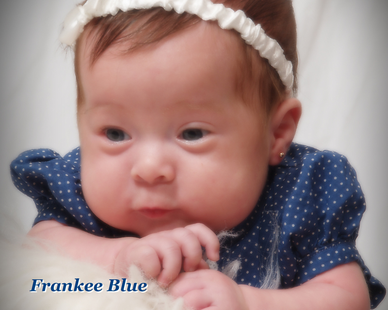 [Frankie+Blue.jpg]