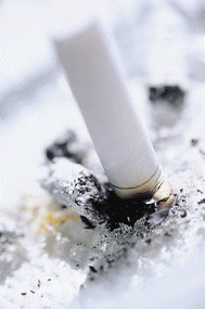 [Cigarette+5.bmp]