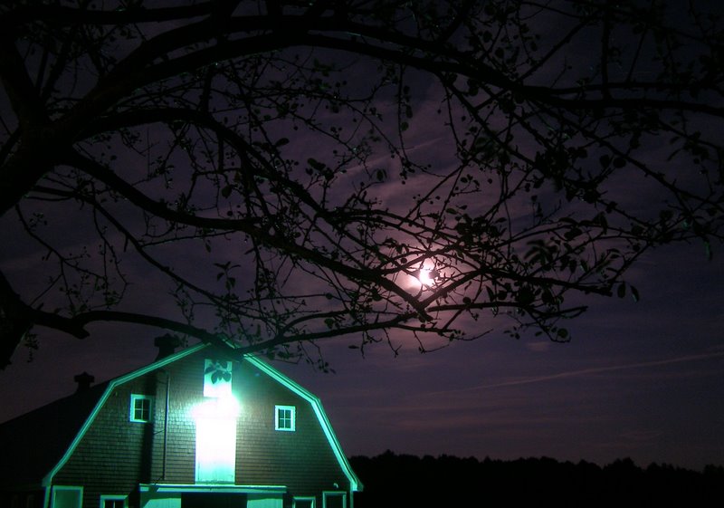 [Moon+rising+over+the+barn.jpg]