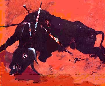 [anti-bullfight.jpg]