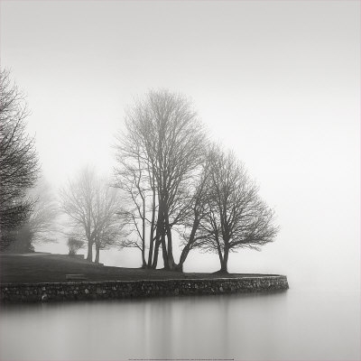 [Fog+and+Trees+at+Dusk.JPG]