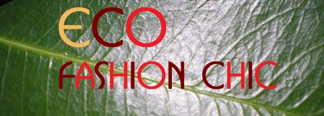 Eco Fashion Chic