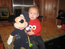 Mason and Mickey baby