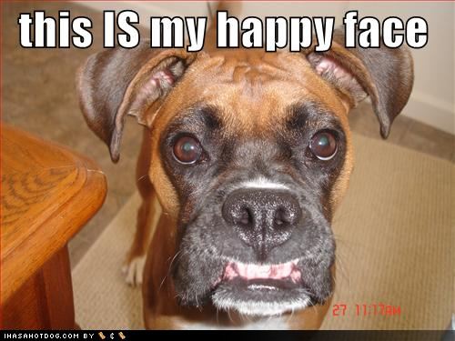 [funny-dog-pictures-but-this-is-his-happy-face.jpg]