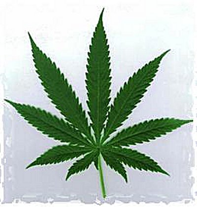 [Cannabis.jpg]