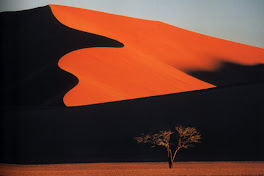 Duna gigante en el desierto de Namib