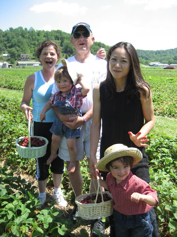 Picking strawberries in Marrietta Ohio