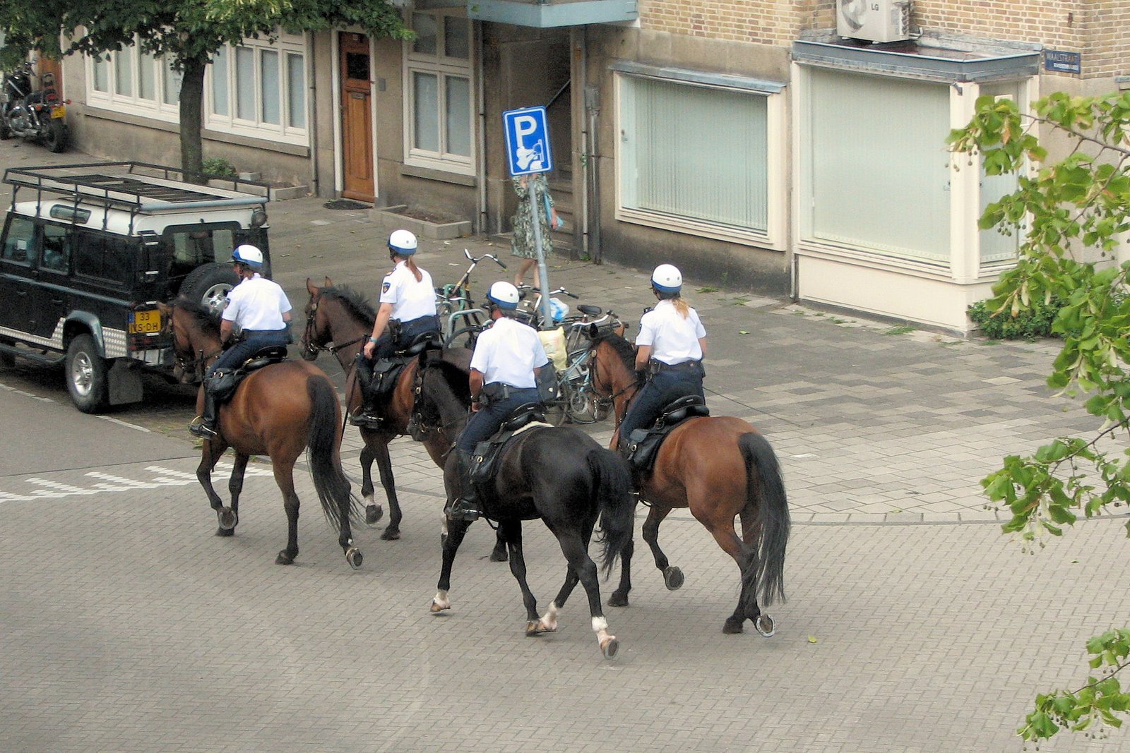 [Four+Horse+Politie.jpg]