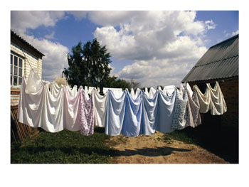 [106083~Laundry-on-a-Clothesline-Posters.jpg]