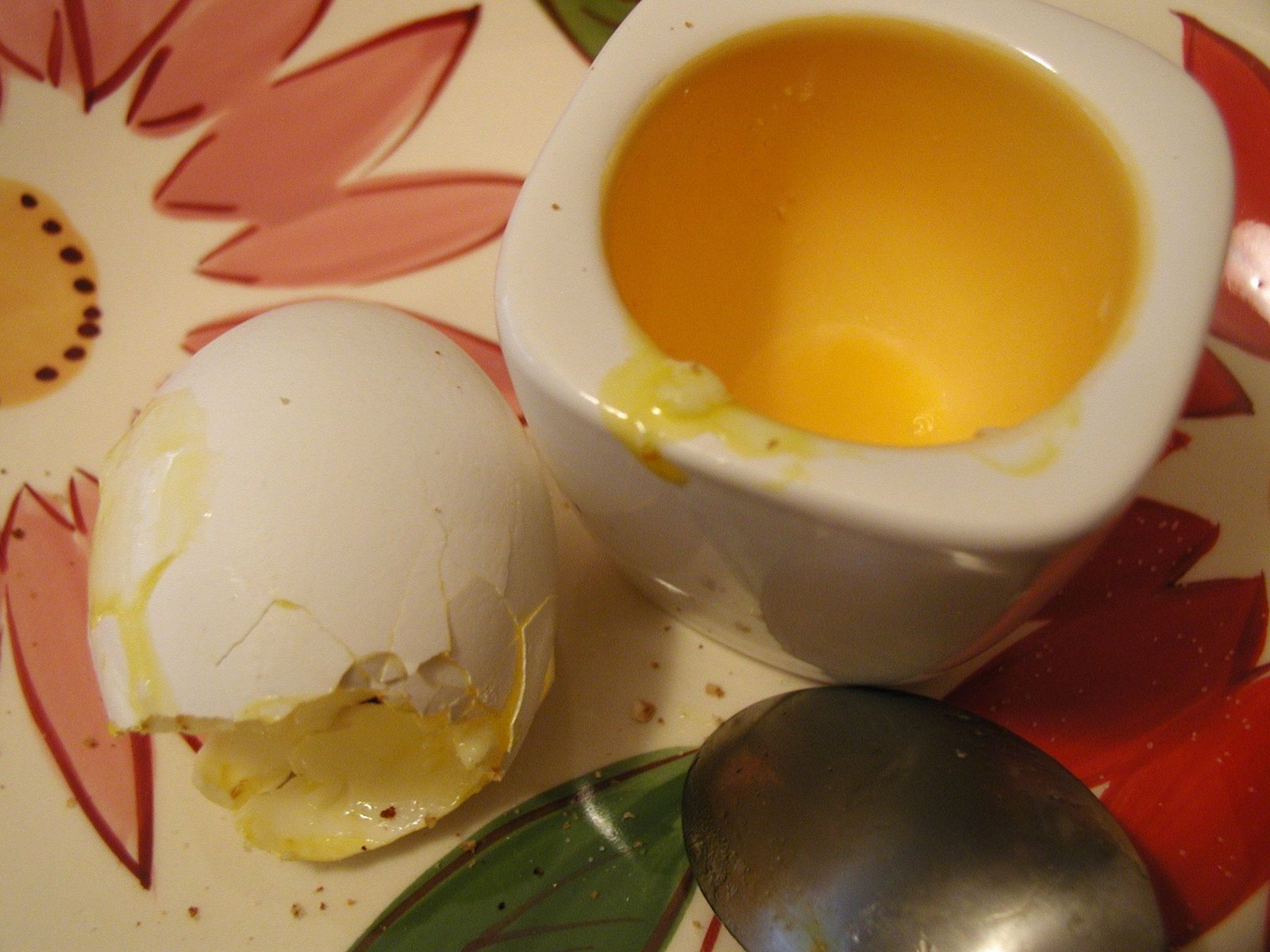 [egg7.JPG]