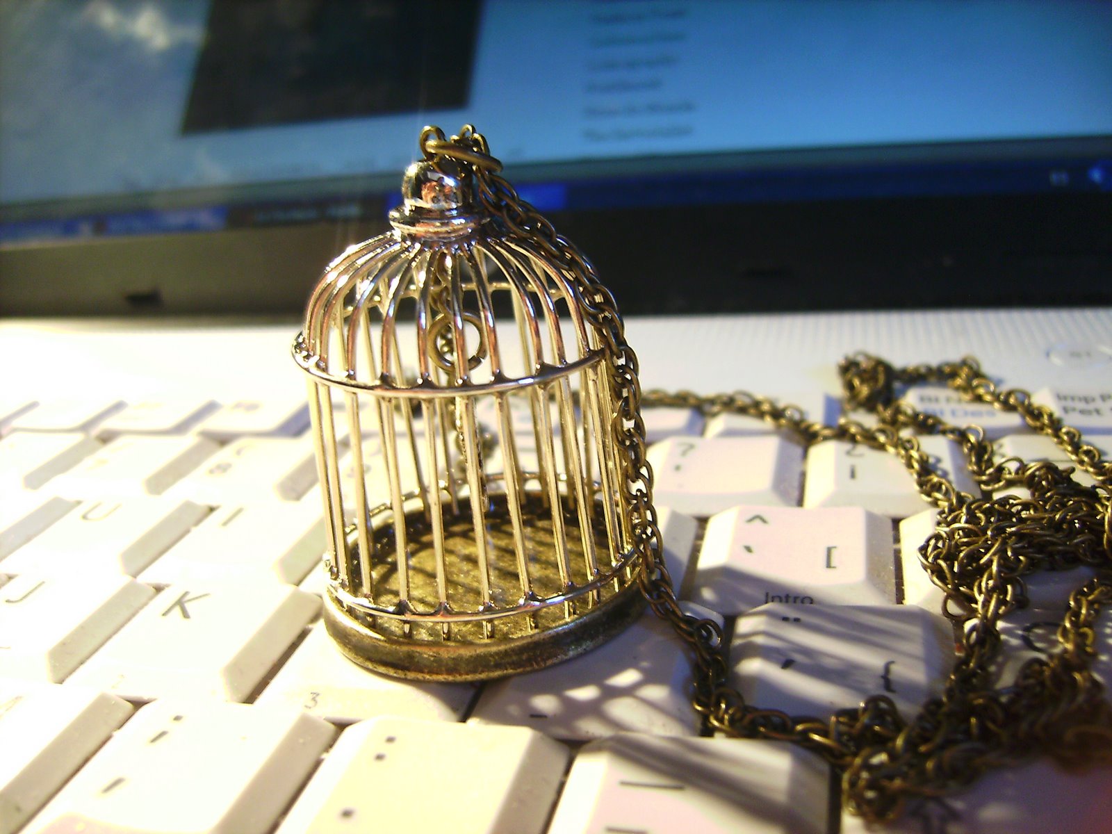 [birdcage.JPG]