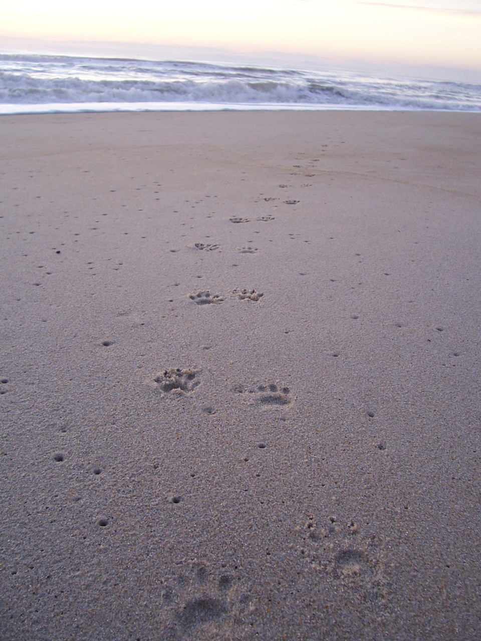 [2006+12+Footprints.JPG]