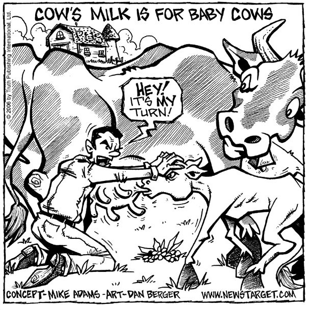 [cow+milk+cartoon.bmp]