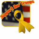 [support_our_troops_ribbon_waving_md_wht.gif]