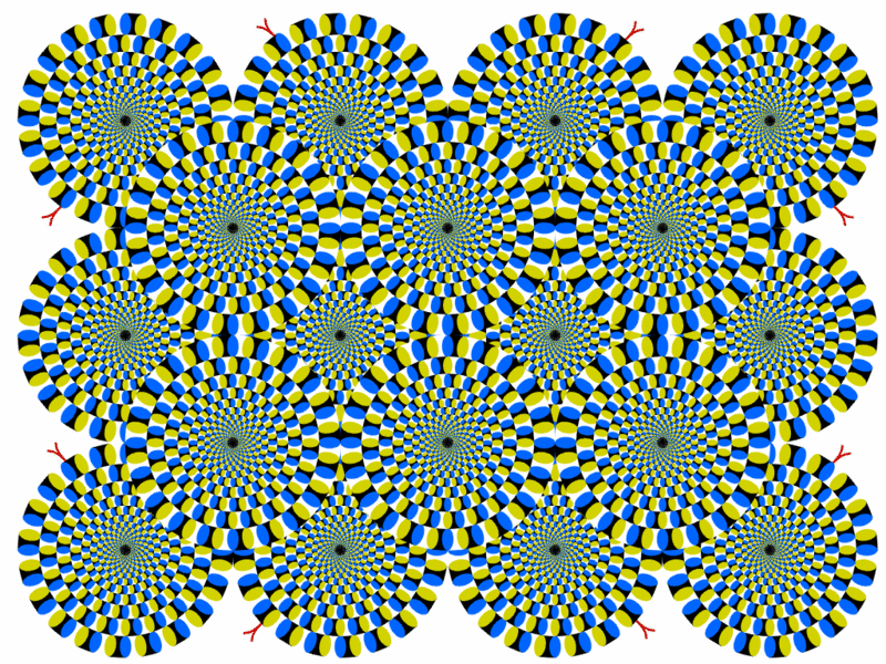 [illusion_pic1.gif]