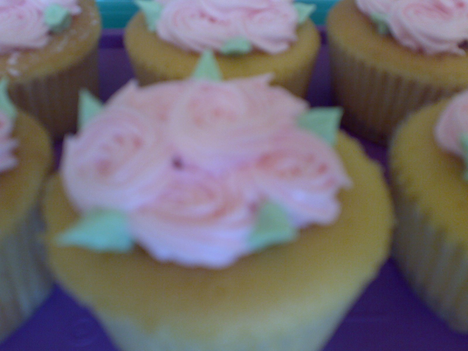 [Cupcake+Roses.jpg]