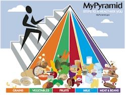 [food+pyramid.jpg]