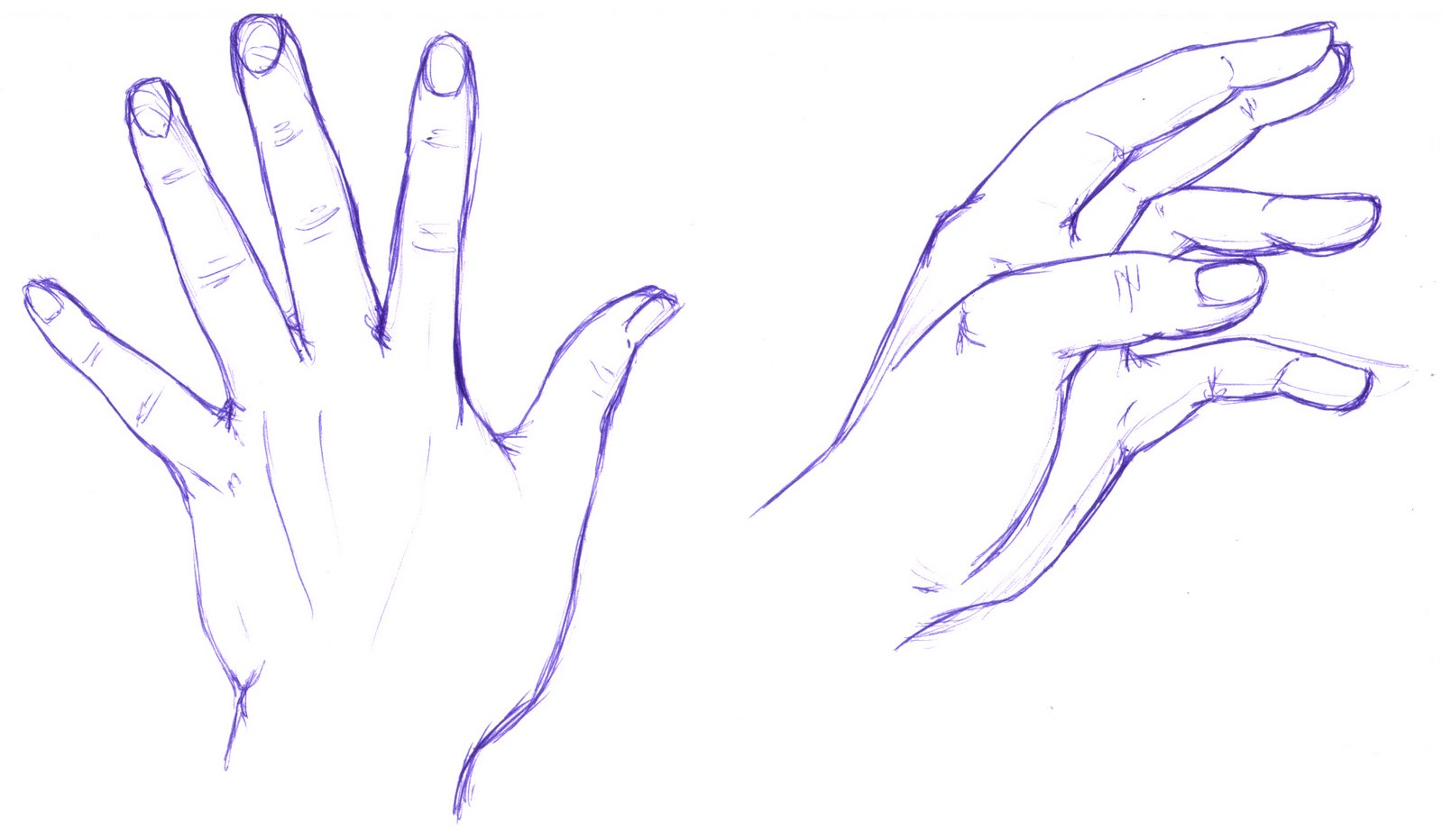 [hand.jpg]