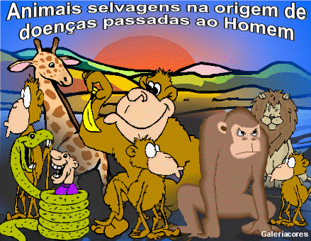 [Animais+selvagens+cartoon+animado.gif]