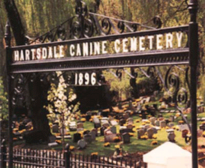 [cimetière+animaux.gif]