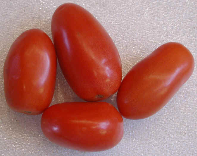 [i-tomatoes-roma.jpg]