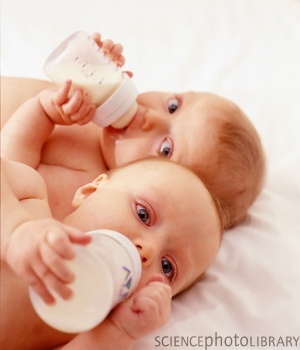 [P900068-Identical_twin_baby_boys-SPL.jpg]