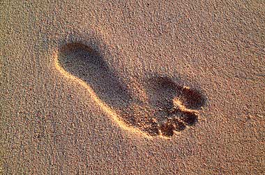 [Footprint.jpg]