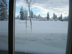 Snow Storm 2008