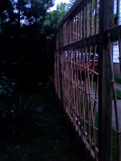 [bamboo+fence+1.jpg]