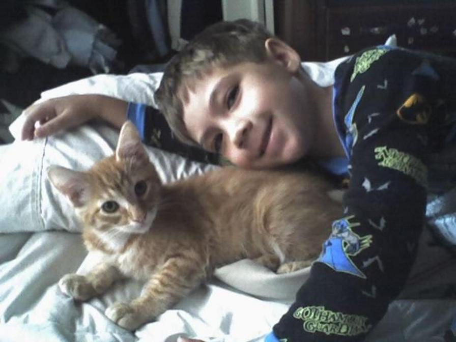 [a+boy+and+his+cat.jpg]