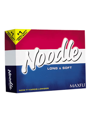 [noodle2004.jpg]
