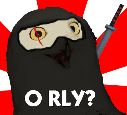 [ORLY-ninja.jpg]
